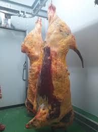 Grill Meat Box #2